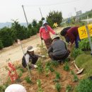 원당1리 이미지