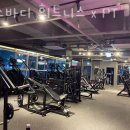 킹스바디 이미지