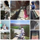 D00047 | [마감] 헤어밴드.예쁜헤어밴드.면헤어밴드.아이헤어밴드 /패션아이템 상시진행/바로배송 ★