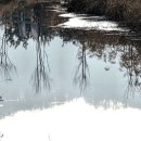 개울옆길 이미지