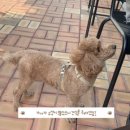 큐캠