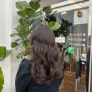 대도자동차정비 | [오월봄] 창원 여성펌 잘하는 미용실 그레이스펌 뿌리펌 솔직후기