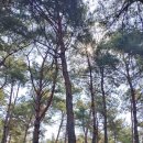 선돌촌마을 이미지