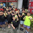 무적태권도장 이미지