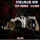단양안내소 | [단양여행] [고수동굴] 방문 후기, 주차장 안내, 주의사항 안내