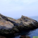 궁섬 Daum백과