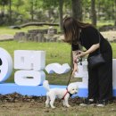 포레스트멍