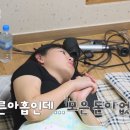 미스터돈 이미지