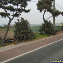 제주도한달살기 이미지