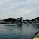 포항 이미지