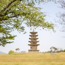 왕궁리유적 이미지