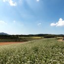 두우리 농장 이미지