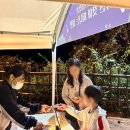 유산회관 | [행사후기] 2025 영월 국가유산 야행