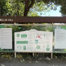 풀냄새꽃향기 | 제주 서쪽 가볼만한 곳 동백꽃 명소 카멜리아힐, 동백 꽃 없을 때 분위기