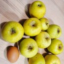 국화축제장 입구 | [연천 국화축제 후기] 서울 근교 경기도 나들이 | 가을꽃 명소 당일치기 여행 추천