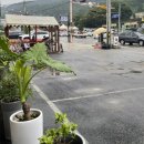 여주-1118 이미지