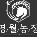명월농장 이미지