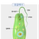 유래주유소 이미지
