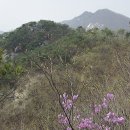 천보산주유소 네이버블로그