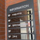 주말 일상 / 장난치다가 반깁스 / 건강 챙기기