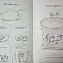 송조