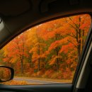 중부대학교 일반대학원 이미지