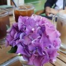 옥포 오션프라자 앞 이미지