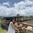 새별목장 이미지