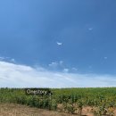 더 정감 이미지