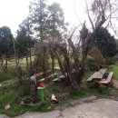 도화헌미술관 이미지