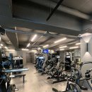 와일드짐 이미지