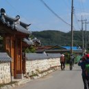 용문산 은행나무길(물소리길 6코스) 이미지