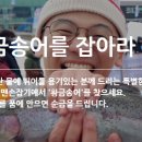 평창송어축제 이미지