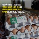 부산계란유통협동조합