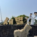 NR-3[평화로]-하-2 | 새별프렌즈 제주 동물원 먹이주기 어른 아이 모두가 즐거운 곳