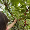 주덕농장 이미지