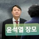 또 법기술?' 尹 장모 최은순 항소심 선고 두번째 연기..변론 재개 이미지