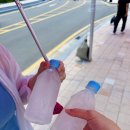 조치원_신흥리_조치원중학교 앞 | 조치원 복숭아축제 2025 후기 | 주차, 운영 시간, 준비물 꿀팁