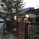 모래불 펜션 이미지