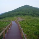 곰배령새소리 이미지