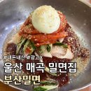 (광고X) 내돈내산 울산 매곡 돈까스 밀면집 :: 정가네부산밀면 ::