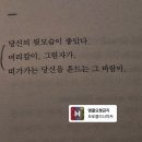 동해-단속-50 | [2025] 월간 독서 10월