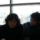 우리집상전 Daum카페