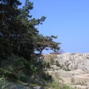 영산대학교 부동산대학원 이미지