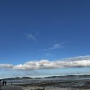 달무리펜션 | [태안여행] 10월 황금물때 갯벌체험, 하루 한 팀만 사용하는 독채 하담스파펜션 숙박후기!