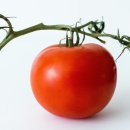 The W 무인호텔 이미지