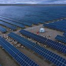 푸른 태양광발전소 이미지