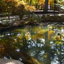 금강공원 이미지