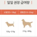 펫스미스 이미지