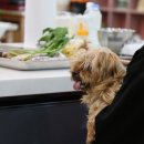 멍스토랑 이미지